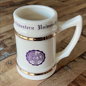 Northwestern University Vintage Stein Mug 1950-70 Era Rare!